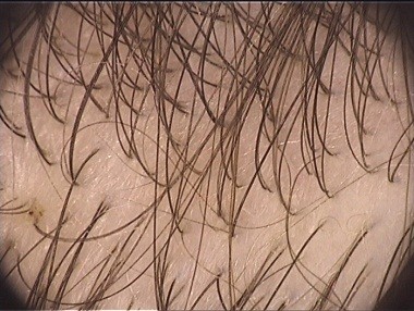 image33.jpeg