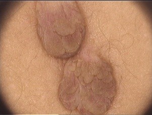 image4.jpeg
